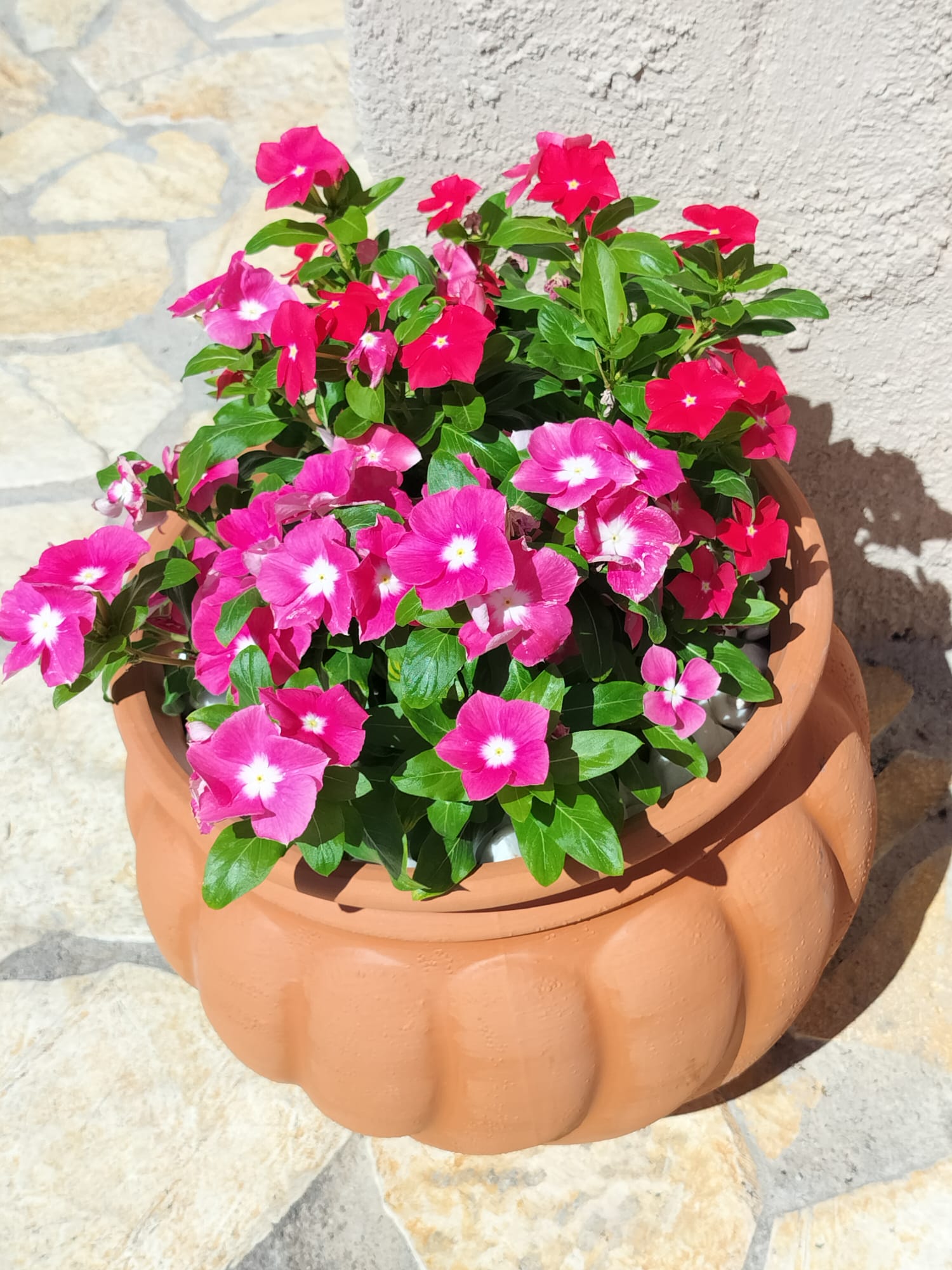 Surrounding of Villa Vounó